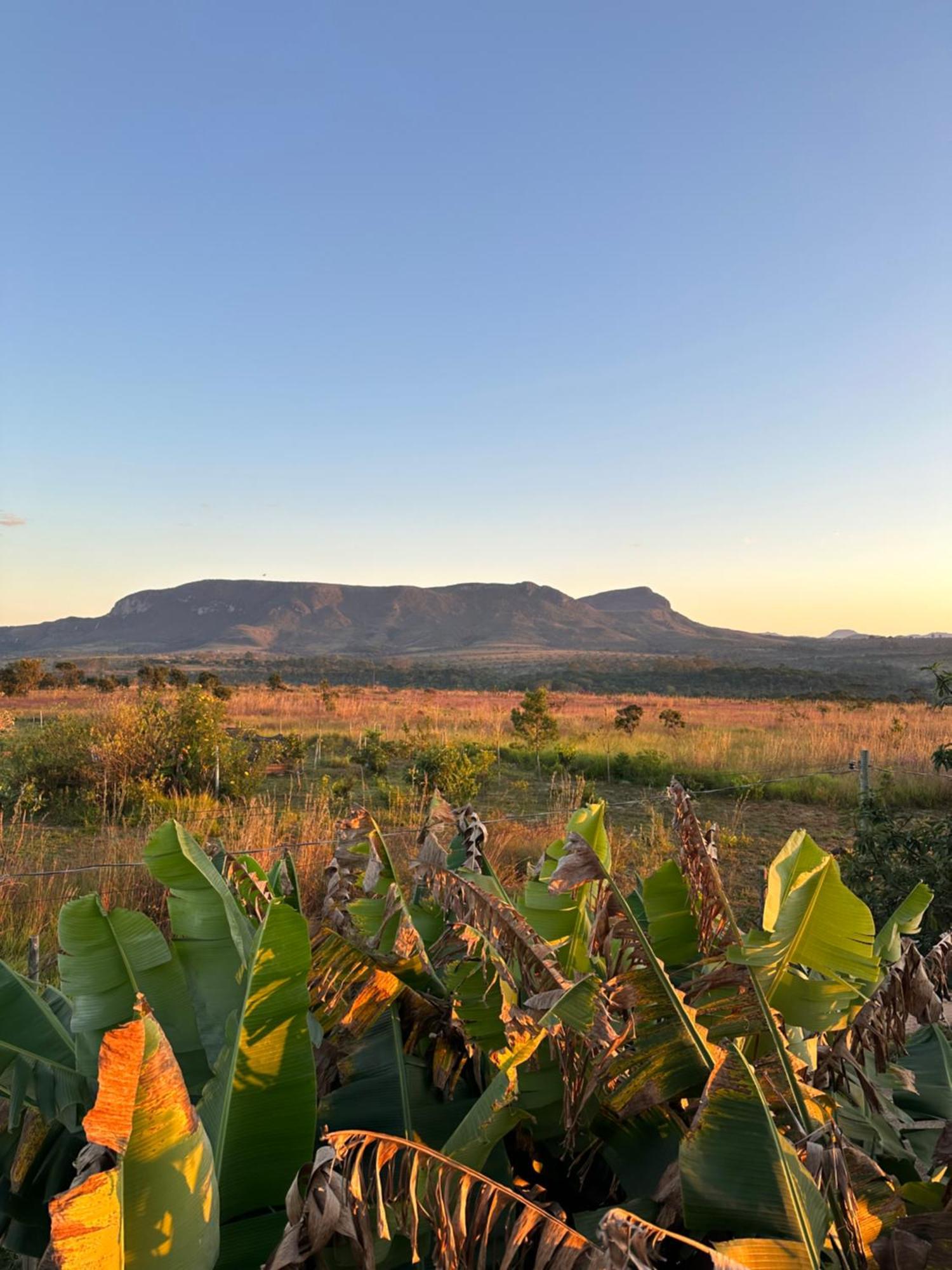 Alto Paraíso de Goiás Pousada/Camping Mirante Serrano酒店 外观 照片